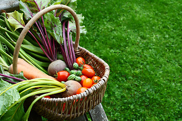 Image showing Woven basket filled with freshly harvested vegetables from an al