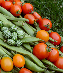 Image showing Handful of cucamelons with tomatoes and runner beans 