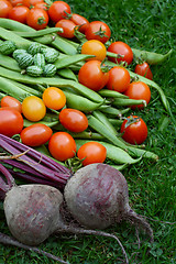 Image showing Purple beetroot with tomatoes, runner beans and cucamelons