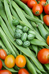 Image showing Green cucamelons and red tomatoes on runner beans