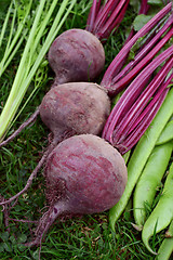 Image showing Three purple beetroot 