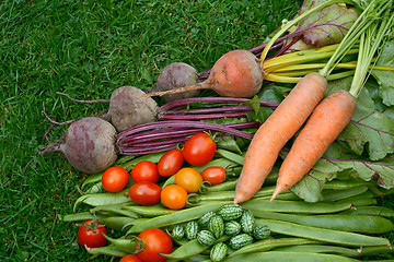 Image showing Vegetables fresh from the garden on the lawn