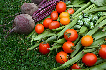 Image showing Harvested vegetables from the allotment 