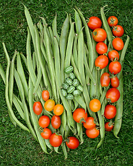 Image showing Fresh green runner beans with tomatoes and cucamelons 