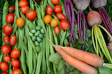 Image showing Vegetables freshly gathered from the allotment