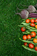 Image showing Line of fresh vegetables on green grass