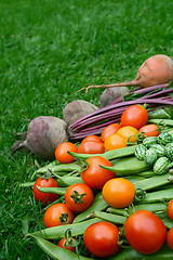 Image showing Red and yellow tomatoes piled with beans, beetroot and cucamelon