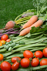 Image showing Ripe red tomatoes in selective focus with fresh vegetables