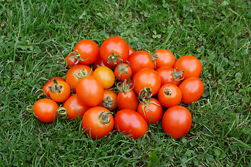 Image showing Pile of red and orange ripe tomatoes