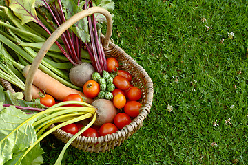 Image showing Rustic basket filled with fresh vegetables from an allotment