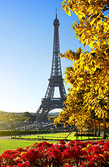 Image showing Flower and Eiffel Tower in autumn