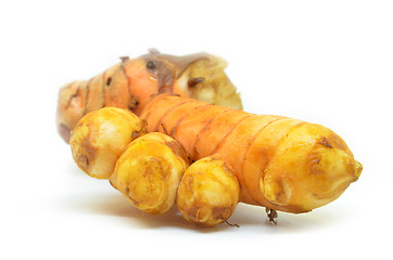 Image showing Turmeric rhizome on white background