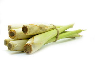 Image showing Bundle of lemon grass