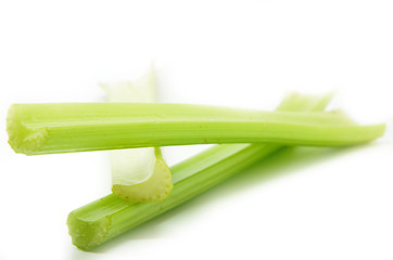 Image showing Fresh green celery