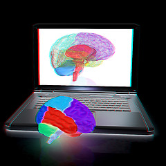 Image showing creative three-dimensional model of real human brain and scan on