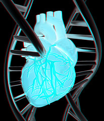 Image showing DNA and heart. 3d illustration. Anaglyph. View with red/cyan gla