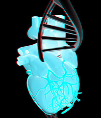 Image showing DNA and heart. 3d illustration. Anaglyph. View with red/cyan gla