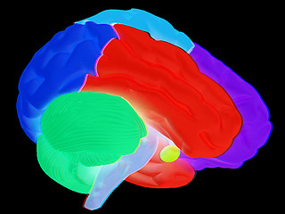 Image showing creative concept with 3d rendered colourful brain. Anaglyph. Vie