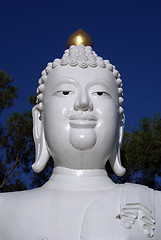 Image showing Head of Buddha