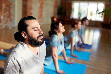 Image showing group of people doing yoga cobra pose at studio