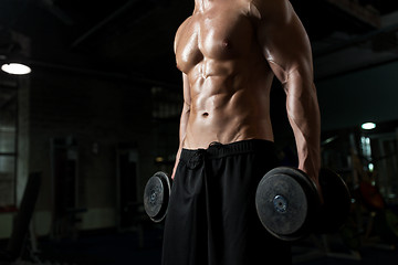 Image showing close up of man with dumbbells exercising in gym