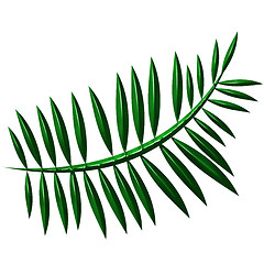 Image showing 3D Fern