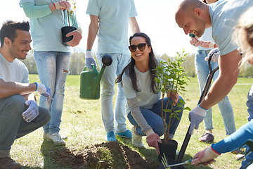 Image showing group of volunteers planting tree in park