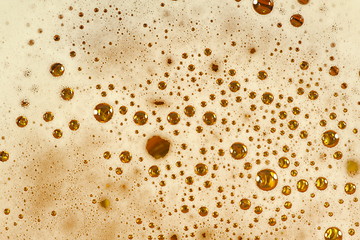 Image showing Beer Foam