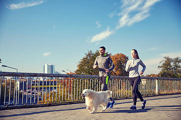 Image showing happy couple with dog running outdoors