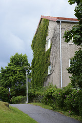 Image showing two storeyed house with ivy