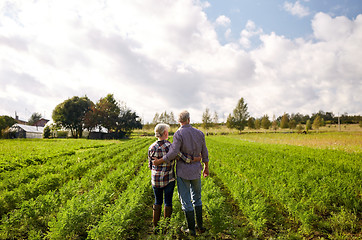 Image showing happy senior couple at summer farm