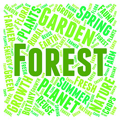 Image showing Forest Word Means Trees Copice And Park