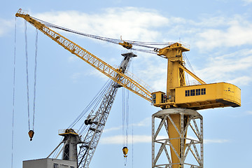 Image showing Cranes