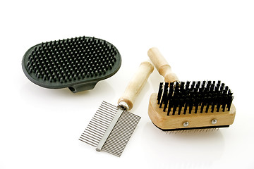 Image showing Dog brushing tools