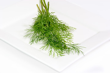 Image showing Fresh dill