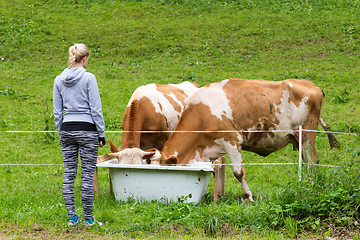 Image showing Active sporty female hiker observing and caressing pasturing cows on meadow.