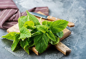 Image showing fresh mint