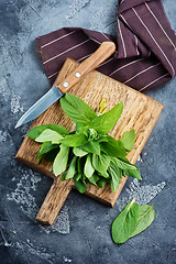 Image showing fresh mint