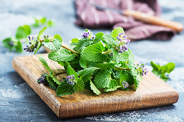 Image showing aroma herb