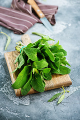 Image showing fresh sage