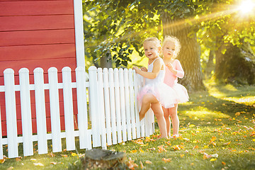 Image showing The two little girls at playground against park or green forest