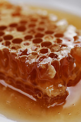 Image showing honey comb