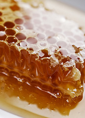 Image showing honey comb