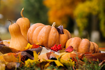 Image showing Autumn thanksgiving still life with pumpkins