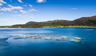 Image showing Farm salmon fishing Aerial FPV drone photography.