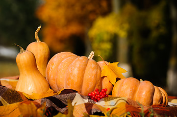 Image showing Autumn thanksgiving still life with pumpkins