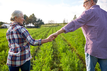 Image showing happy senior couple holding hands at summer farm