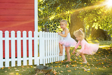 Image showing The two little girls at playground against park or green forest