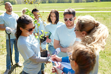 Image showing group of volunteers with tree seedlings in park