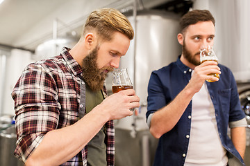 Image showing men drinking and testing craft beer at brewery